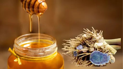 tác dụng của nghệ đen mật ong với sức khỏe